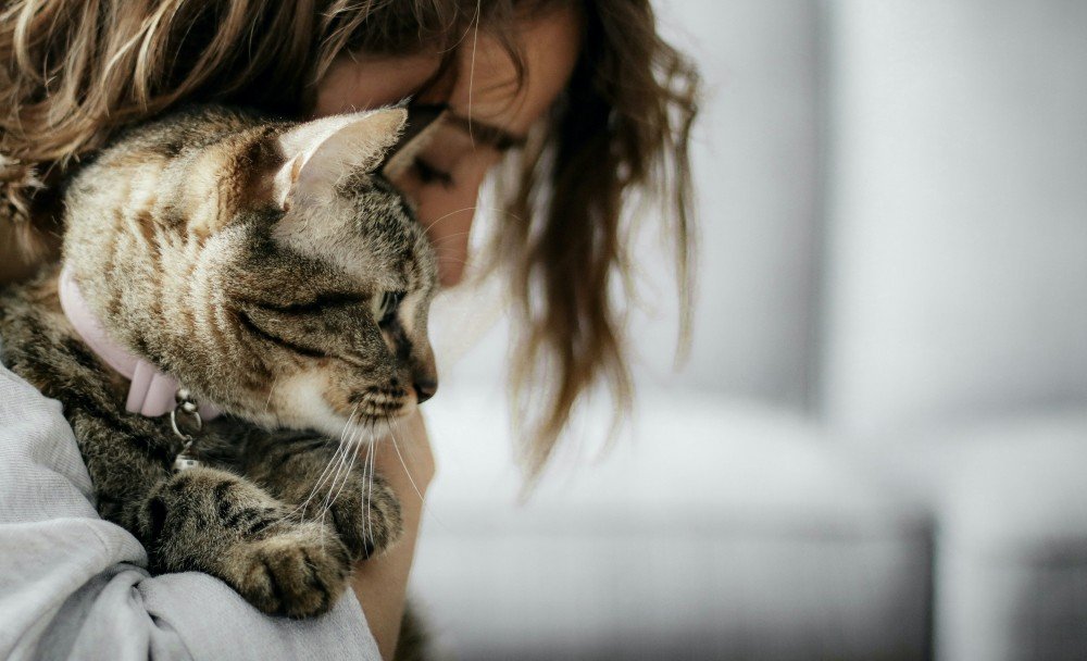 Complicité entre une femme et son chat, au coeur du bien-etre animal
